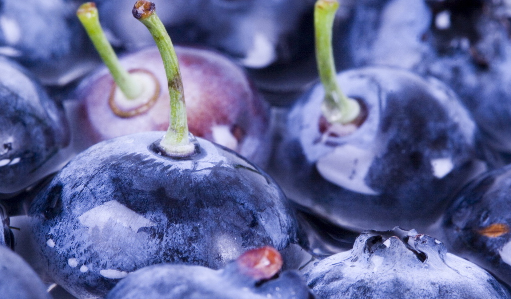 Ягоды черники