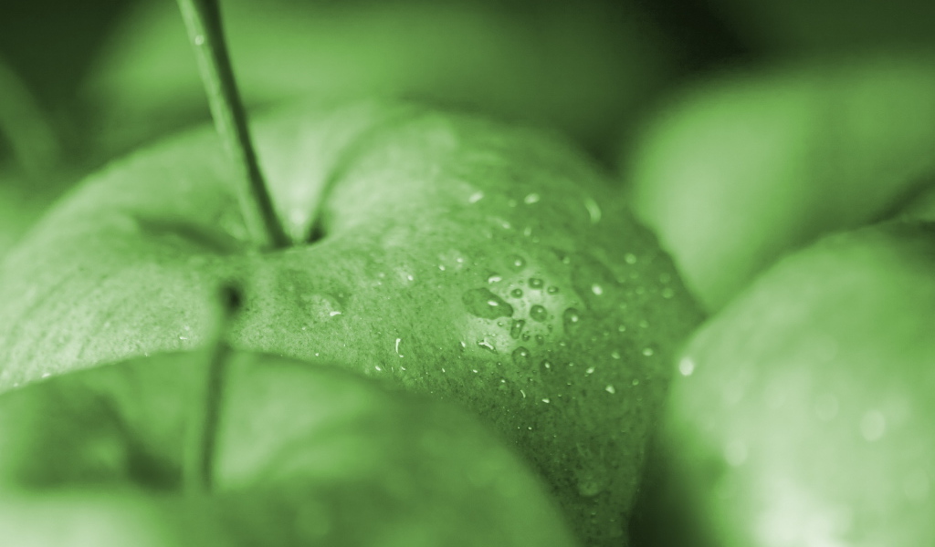 Зеленые яблочки