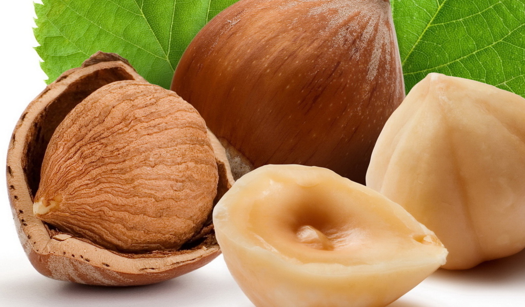 Лесные орехи