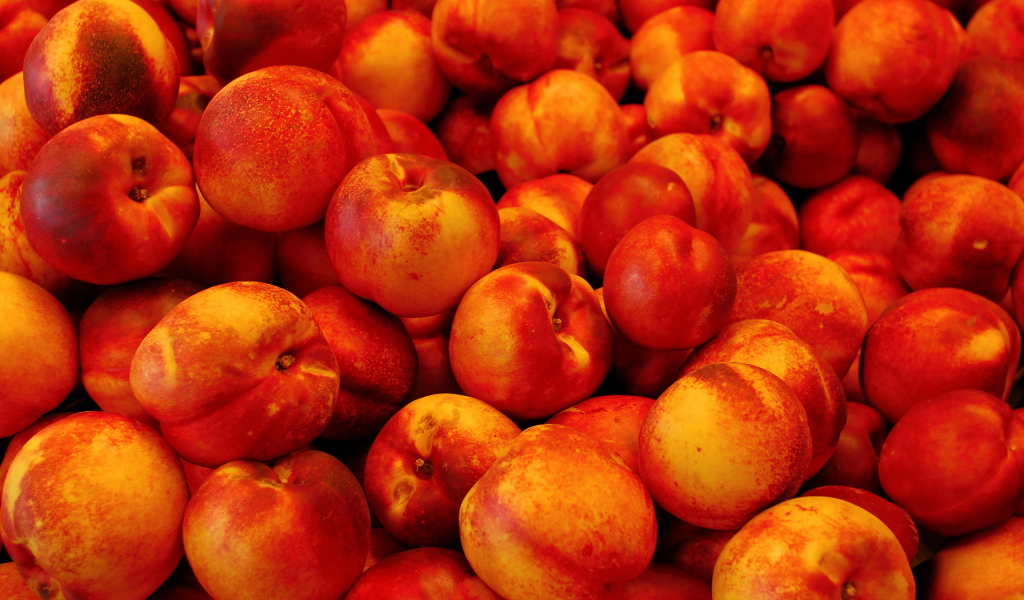 Куча персиков