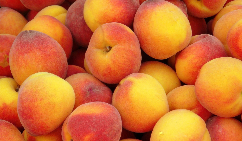 Куча персиков
