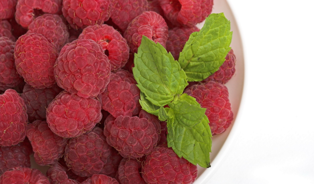 Малина с мятой