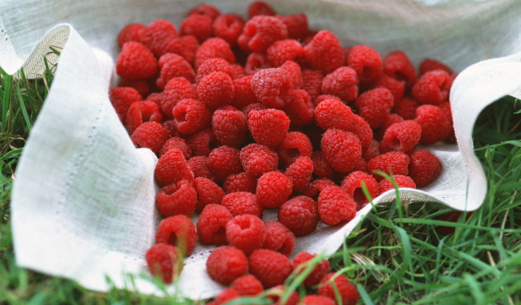 Сладкая малина