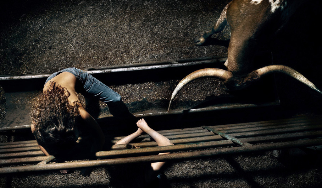 Бык и девушка