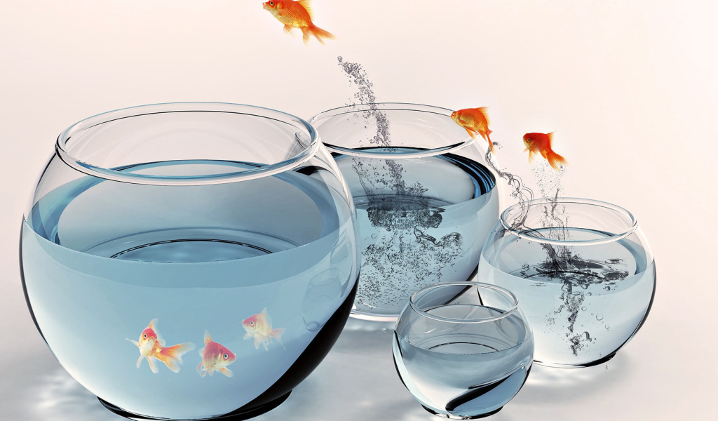 Золотые рыбки