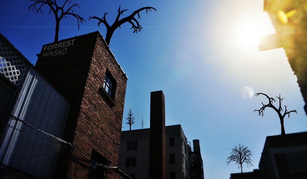 Деревья на крыше