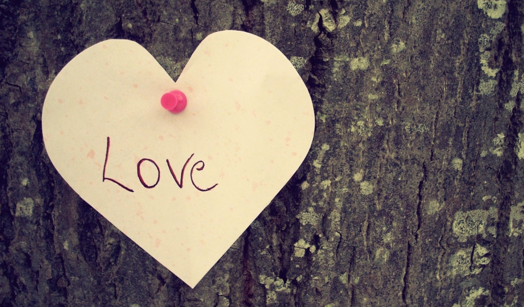 Надпись на дереве