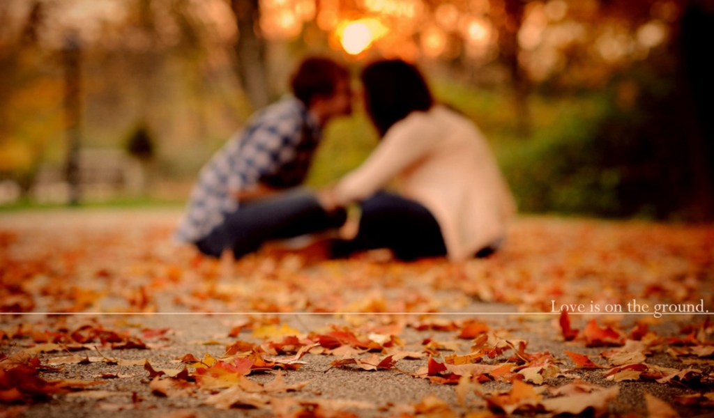 Любовь на земле