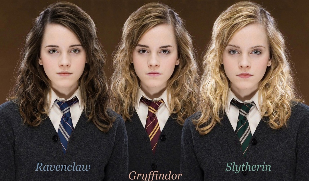 Гарри Поттер, девушки разных факультетов Хогвартс