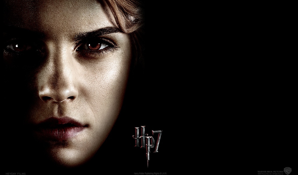 Гарри Поттер и Дары смерти, Гермиона Грейнджер