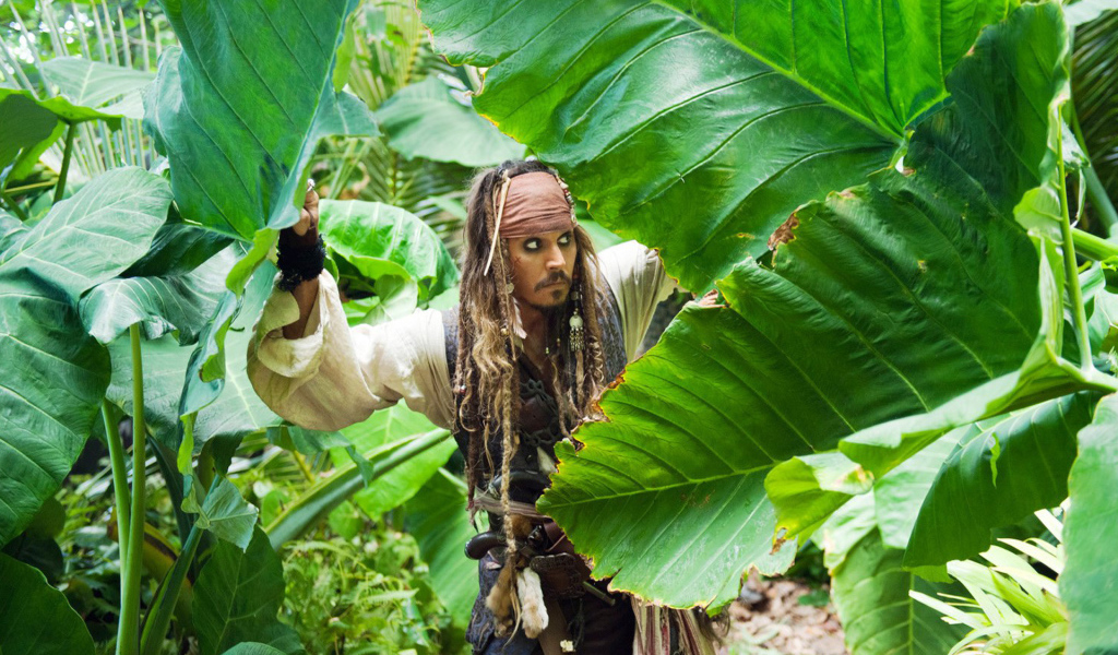 Пираты Карибского моря 3D