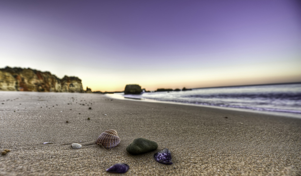 Ракушки на берегу