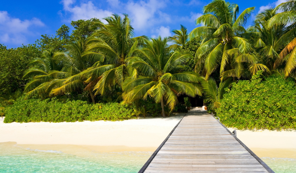 Пальмы на пляже