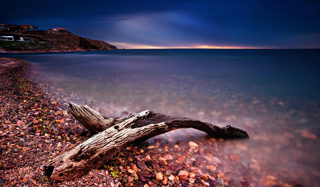 Коряга на берегу