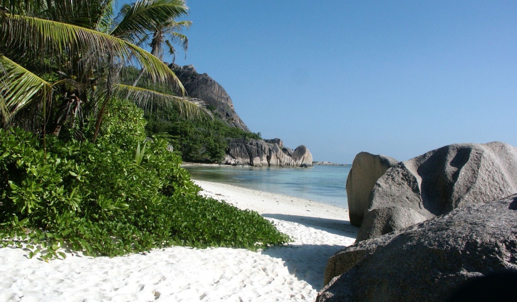 Тропический пляж