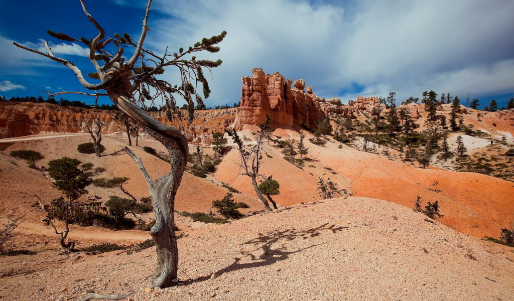 Пустынные холмы