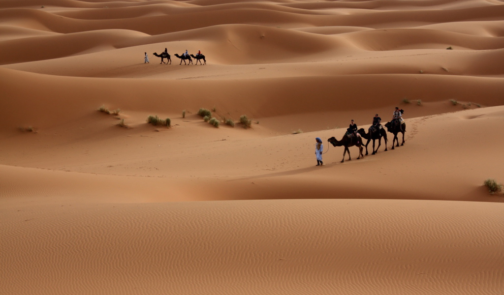 Прогулка по пустыне