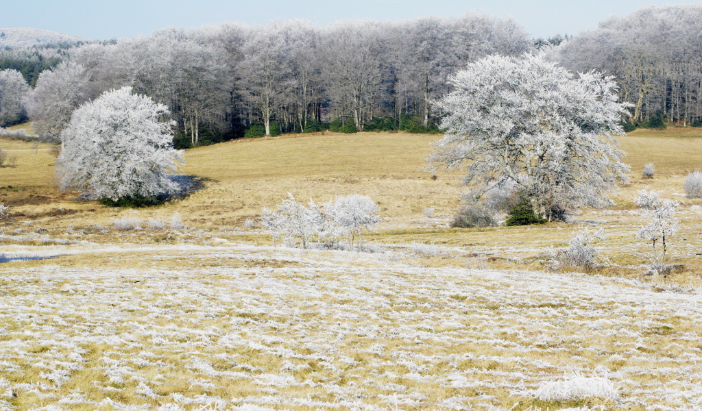 Холодным утром