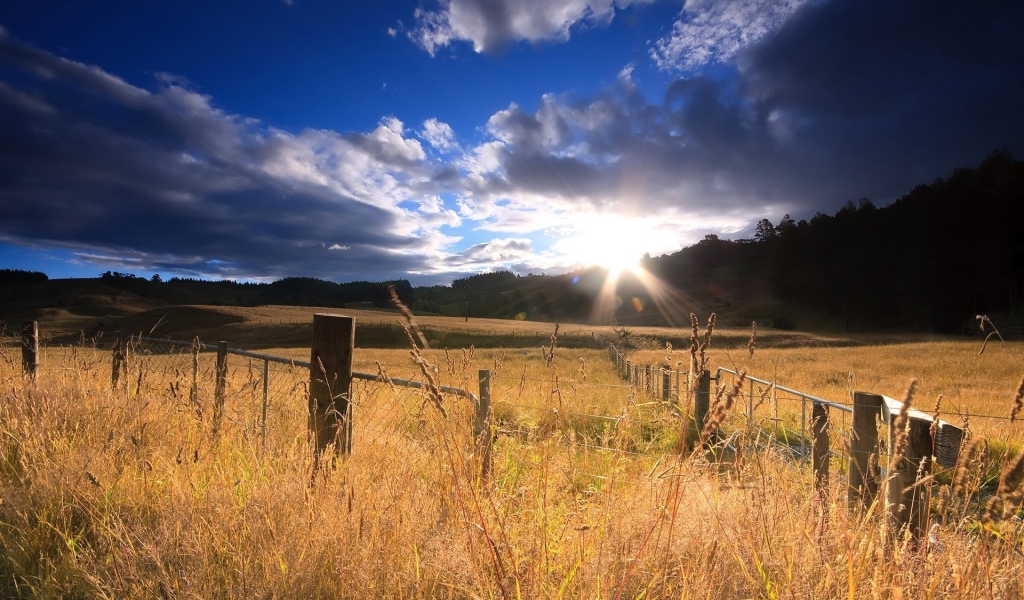Огороженное поле