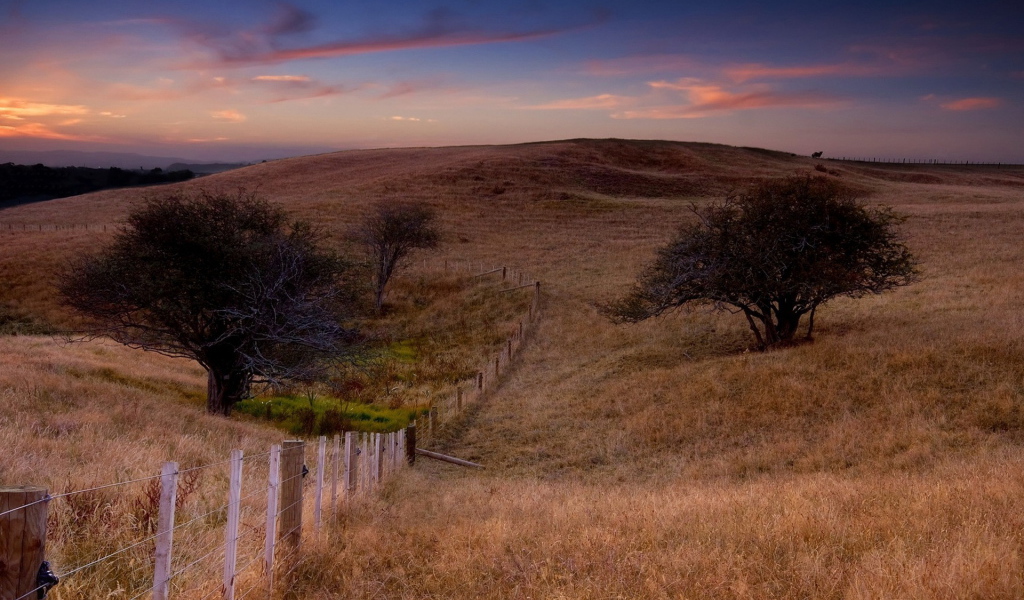 Поле и забор