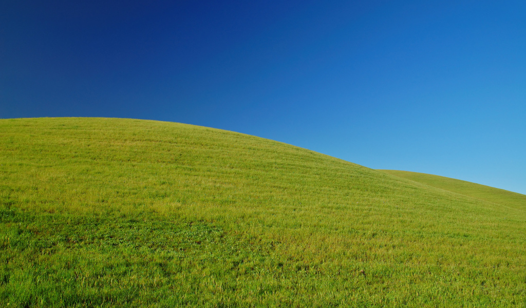 Свежая зелень