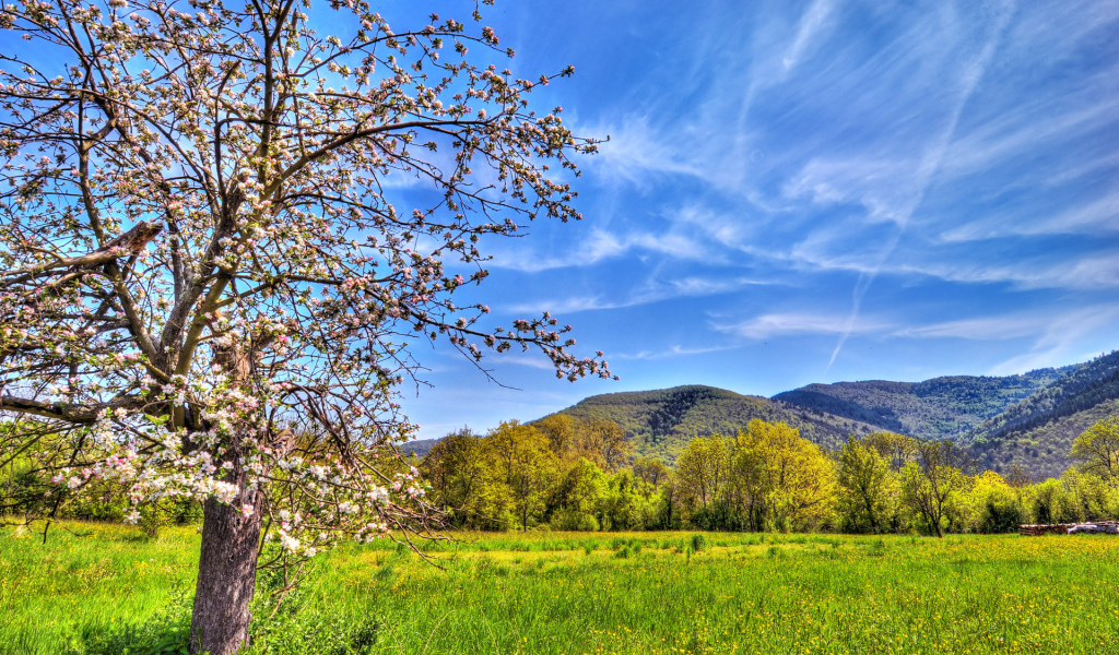 Весенний пейзаж