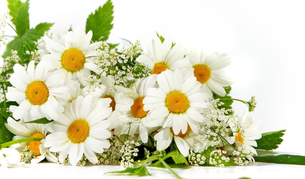 Букет из ромашек