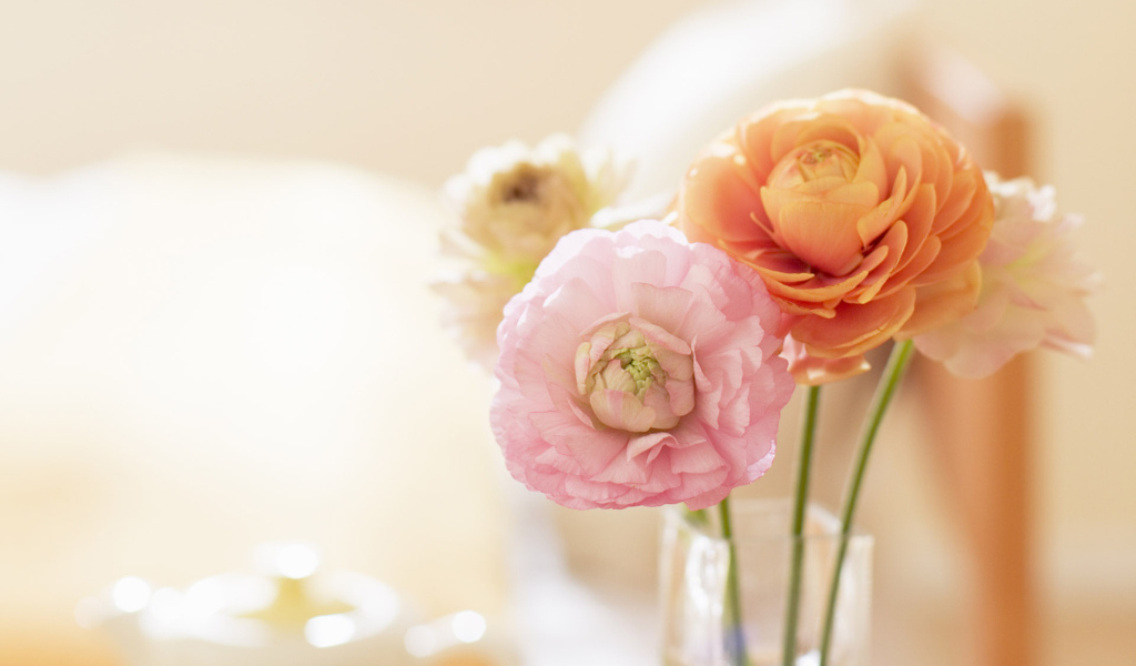 Нежные цветочки в вазе