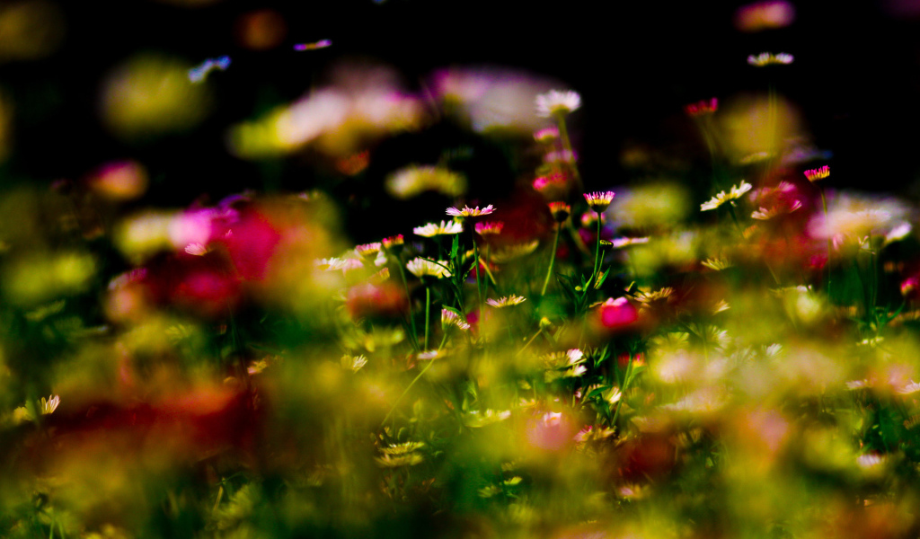 Цветочный ковер