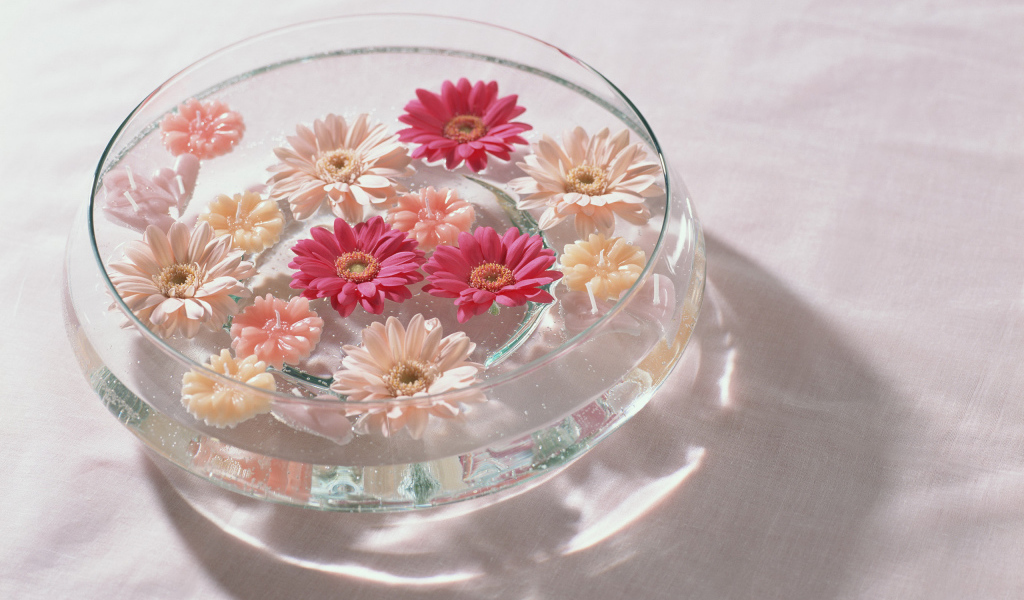 Герберы в воде