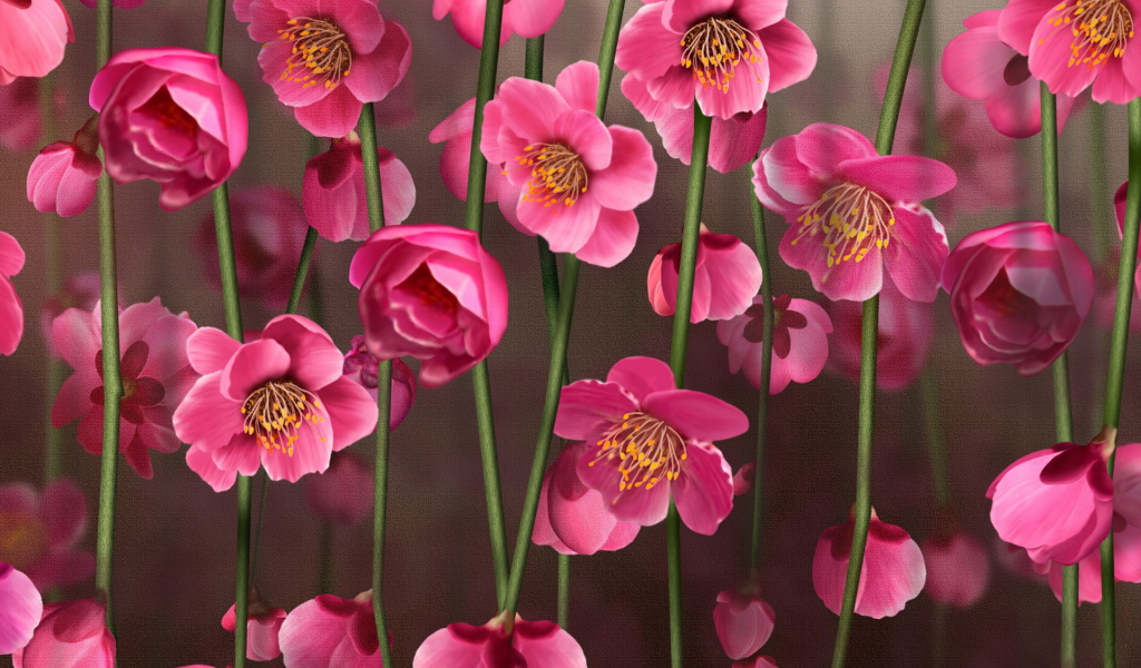 Рисунок цветов