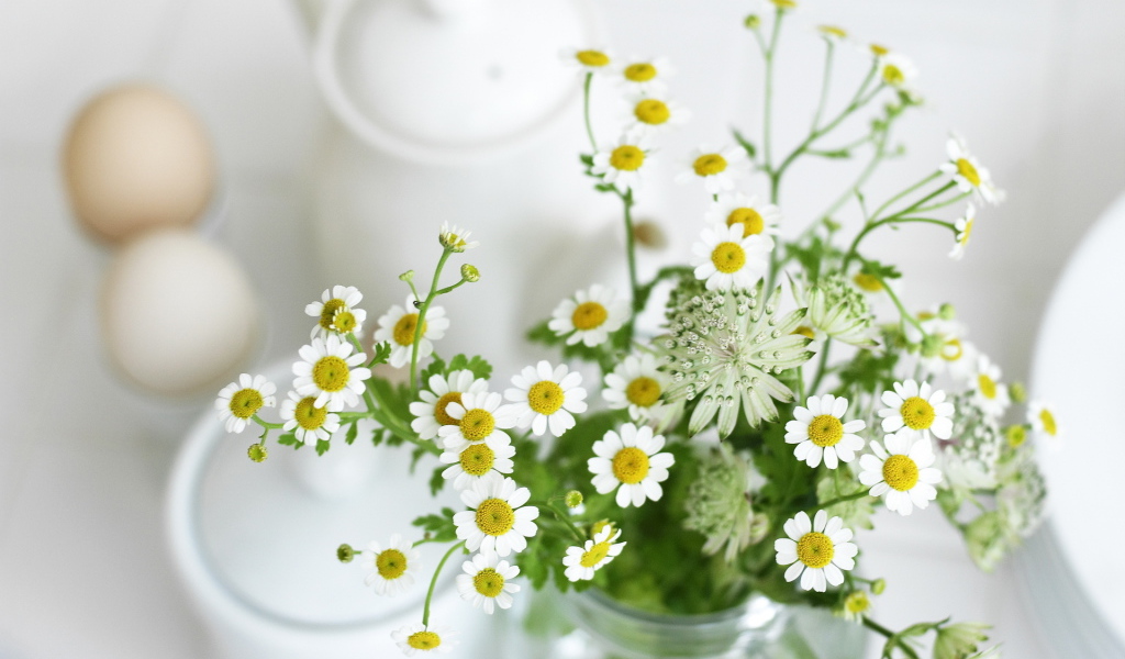 Маленькие ромашки