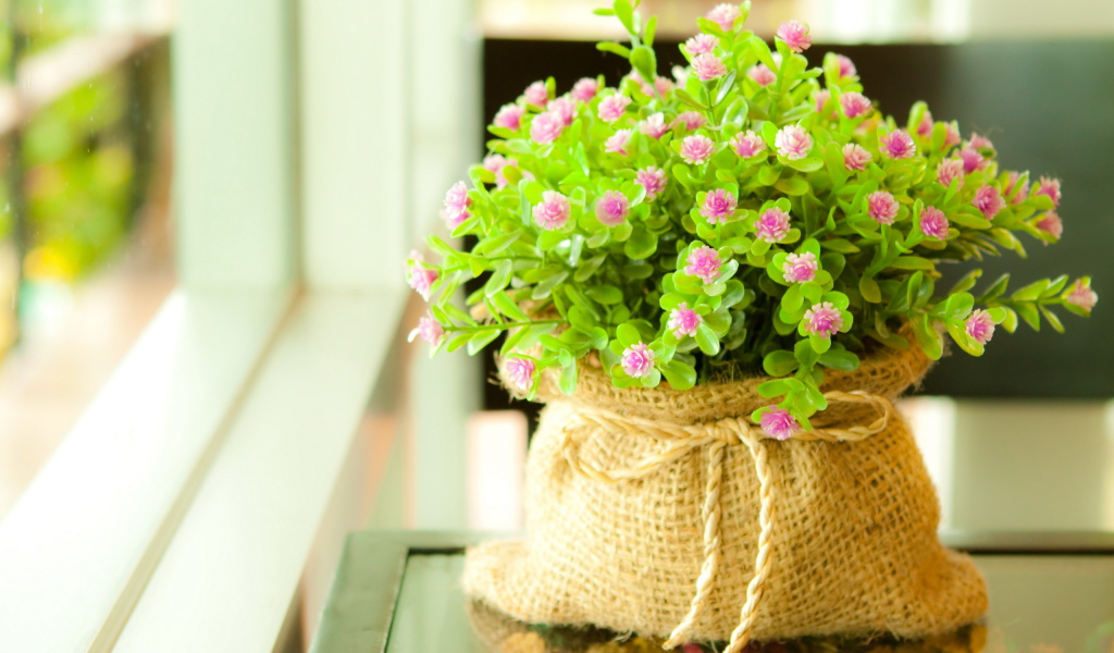 Мелкие цветочки