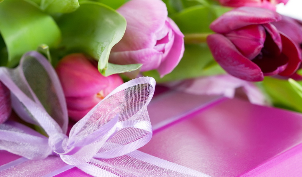 Тюльпаны и подарок