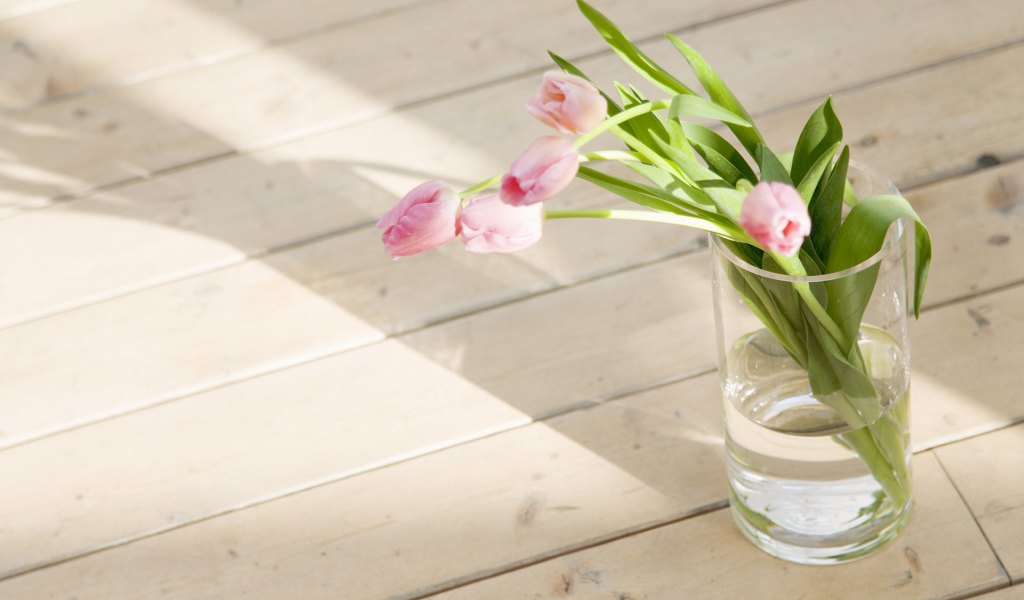 Тюльпаны в стакане