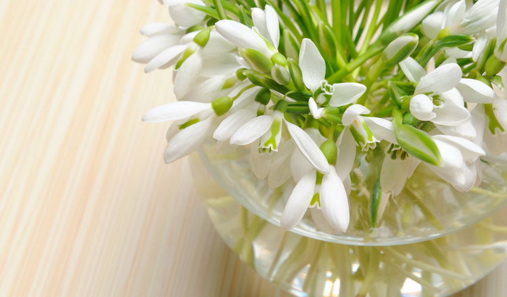 вазочка Подснежников