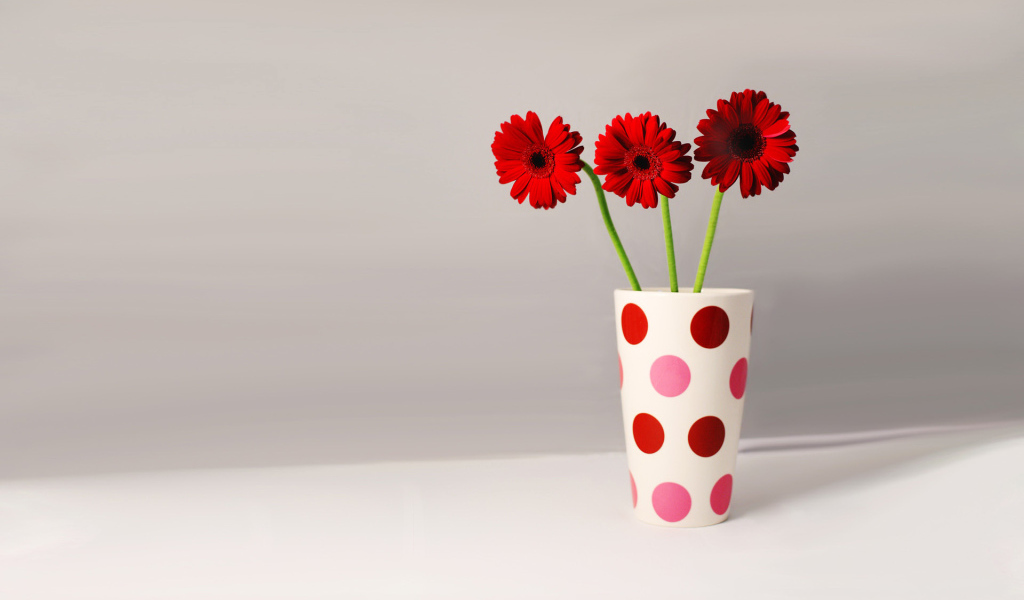 Три герберы