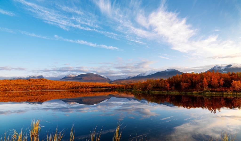 Осенний лес и озеро