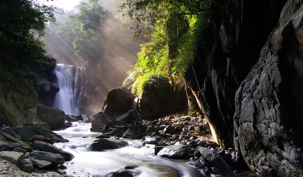 Лесной ручей