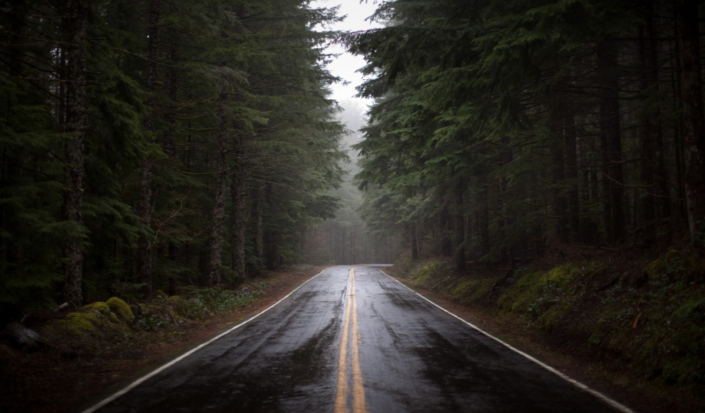 Дорога после дождя