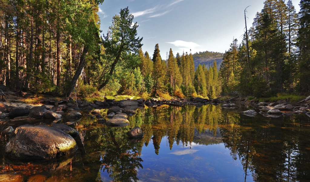 Маленькое лесное озеро