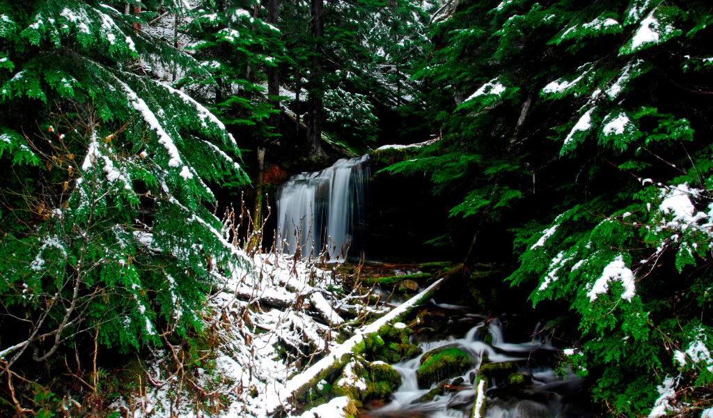 Ручей в лесу