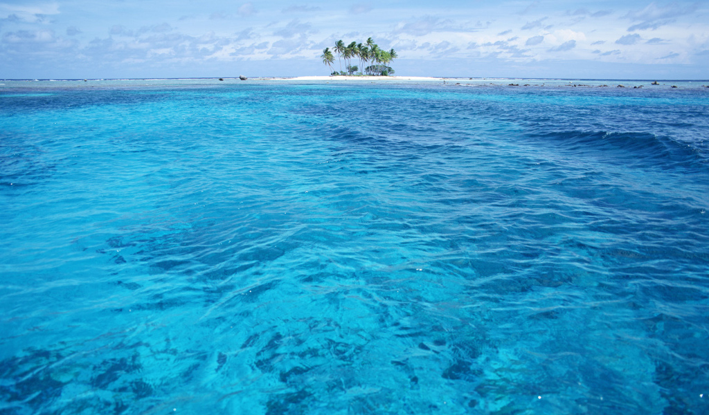 Остров с пальмами