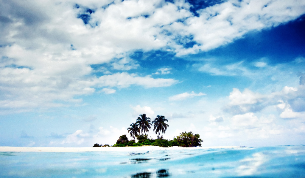 Дикий остров