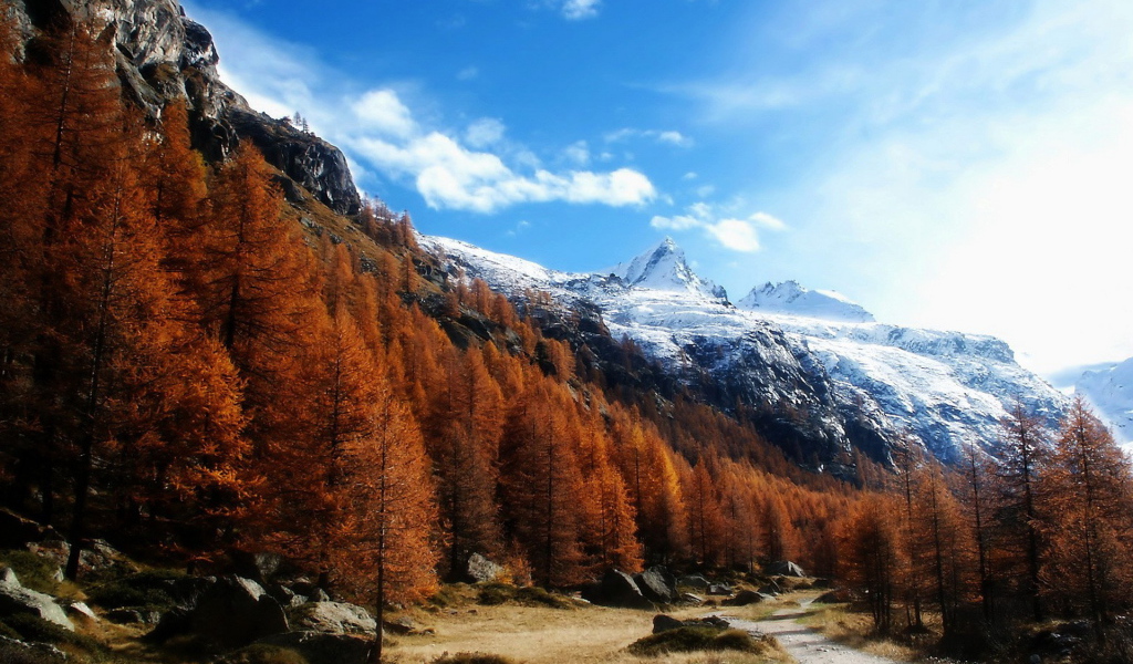 Высокогорный пейзаж