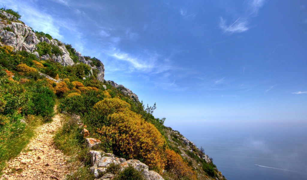 На вершине цветущей скалы