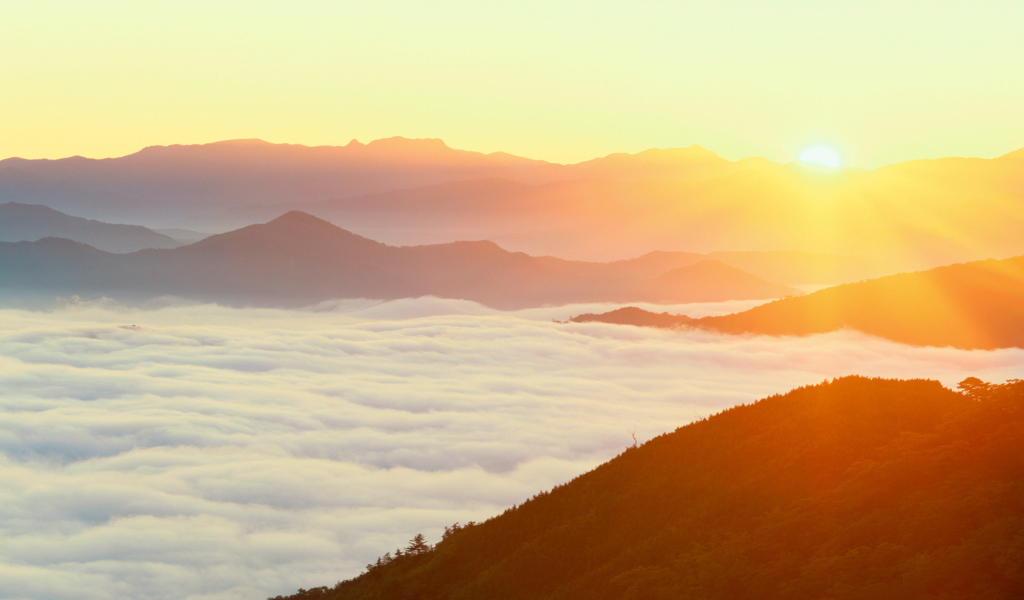 Густой туман