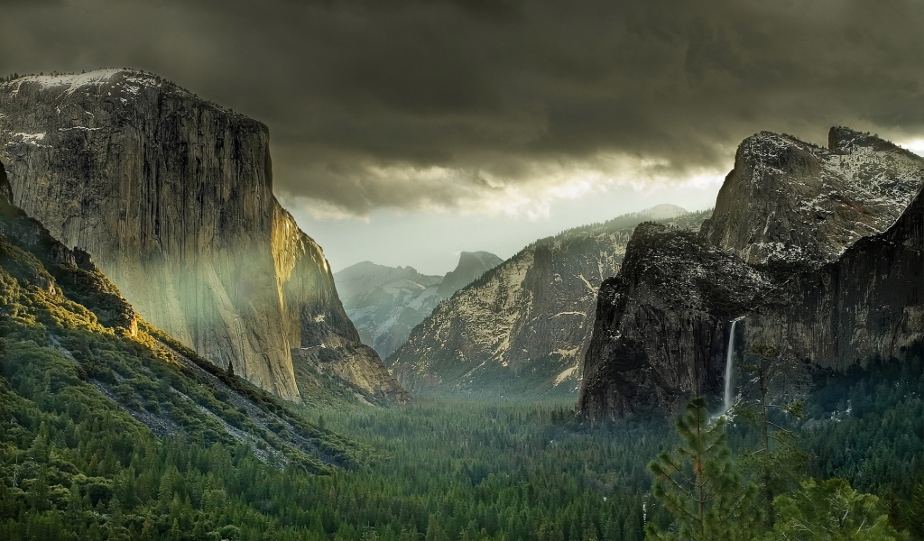 Лес у подножия гор