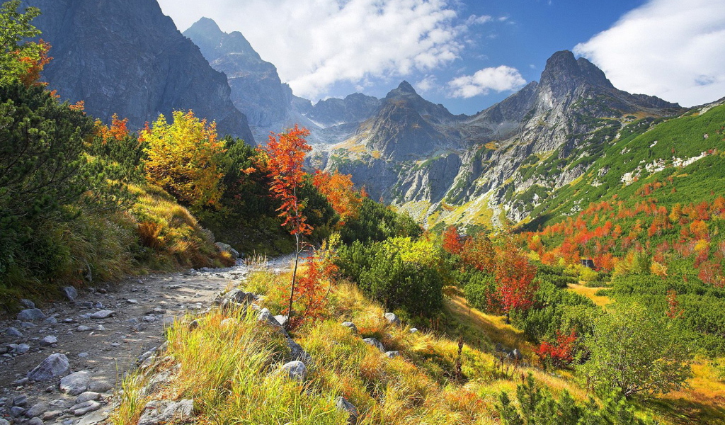 Горная тропа