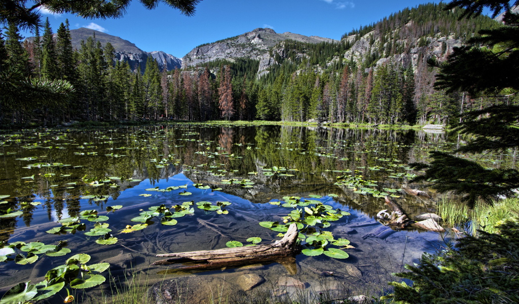 Горная запруда